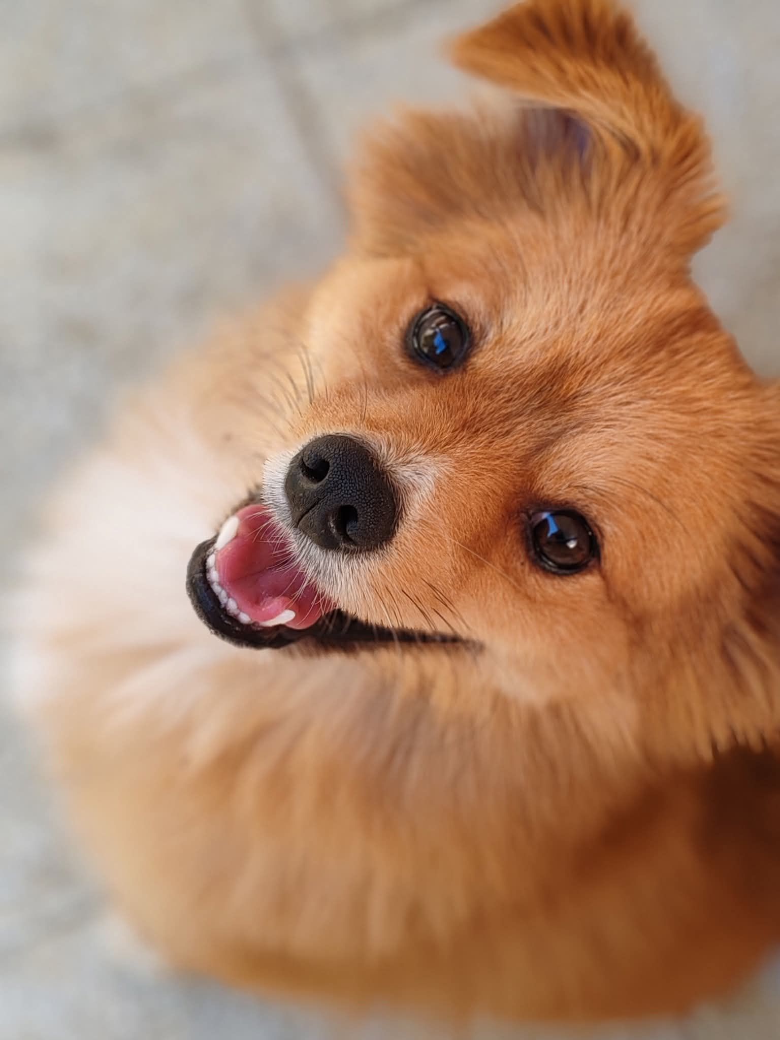 Photo de Winnie